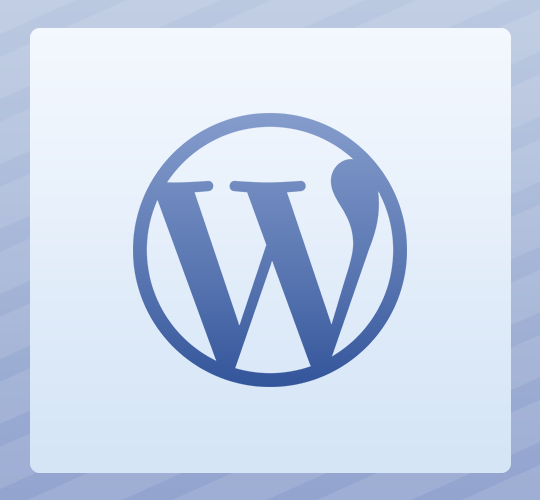 freelance wordpress developer